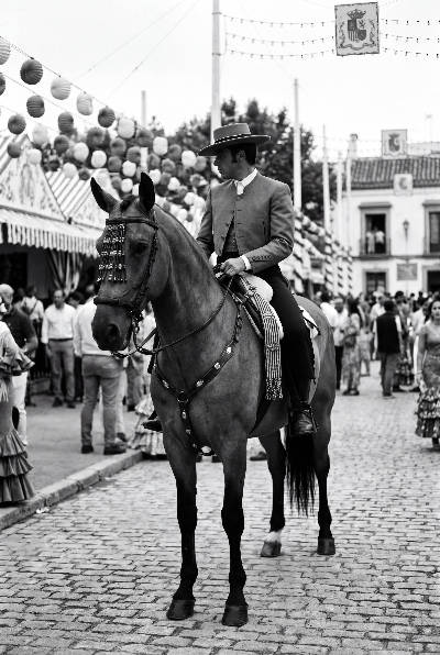 Cheval de feria