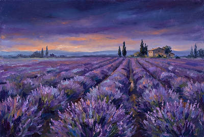 Lavande au crépuscule