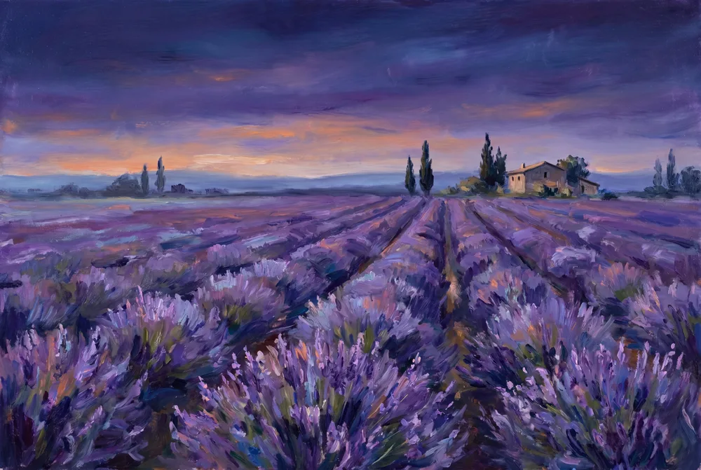 Lavande au crépuscule, mise en situation illustrative