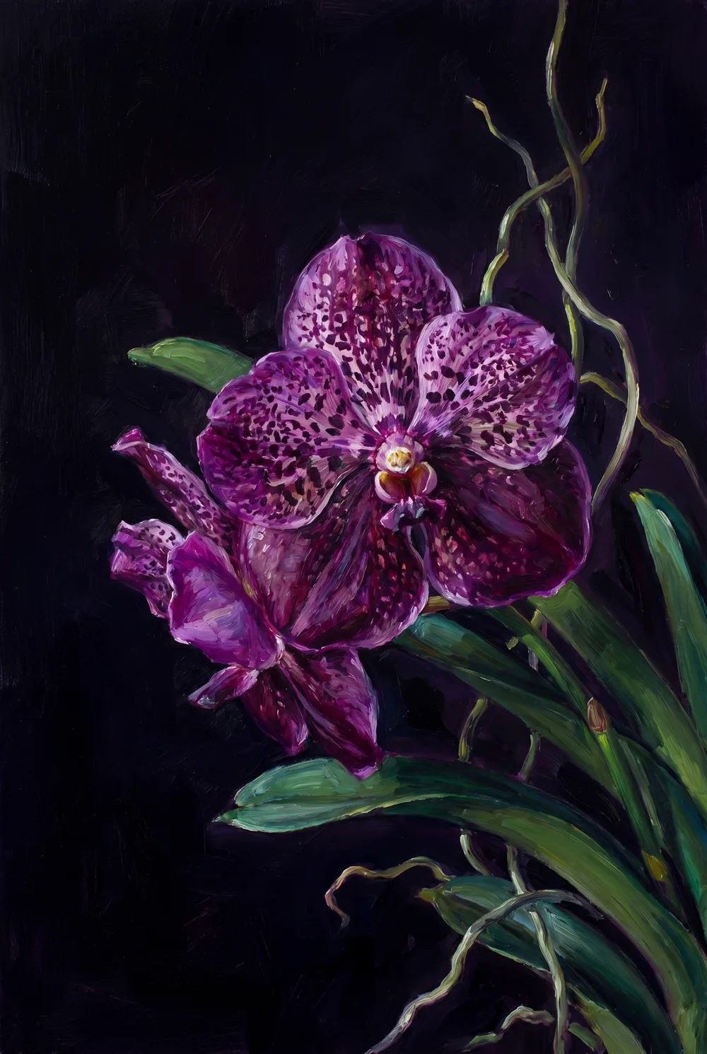 Orchidée exotique, mise en situation illustrative