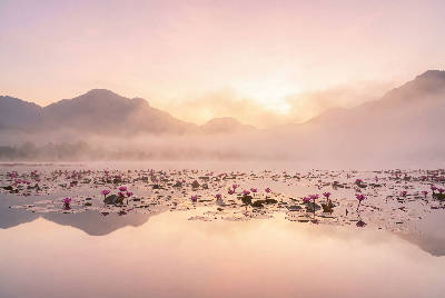 Aube sur le lac