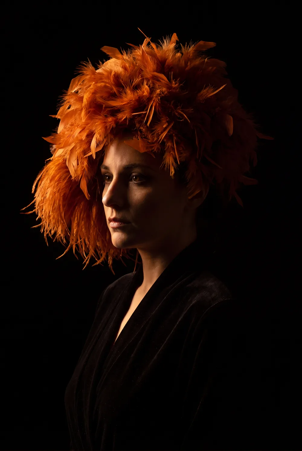 Reine de plumes, mise en situation illustrative