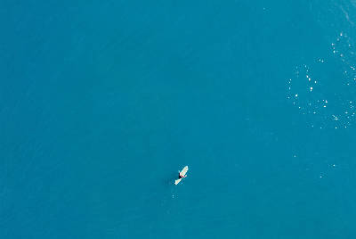 Surfeur vu du ciel